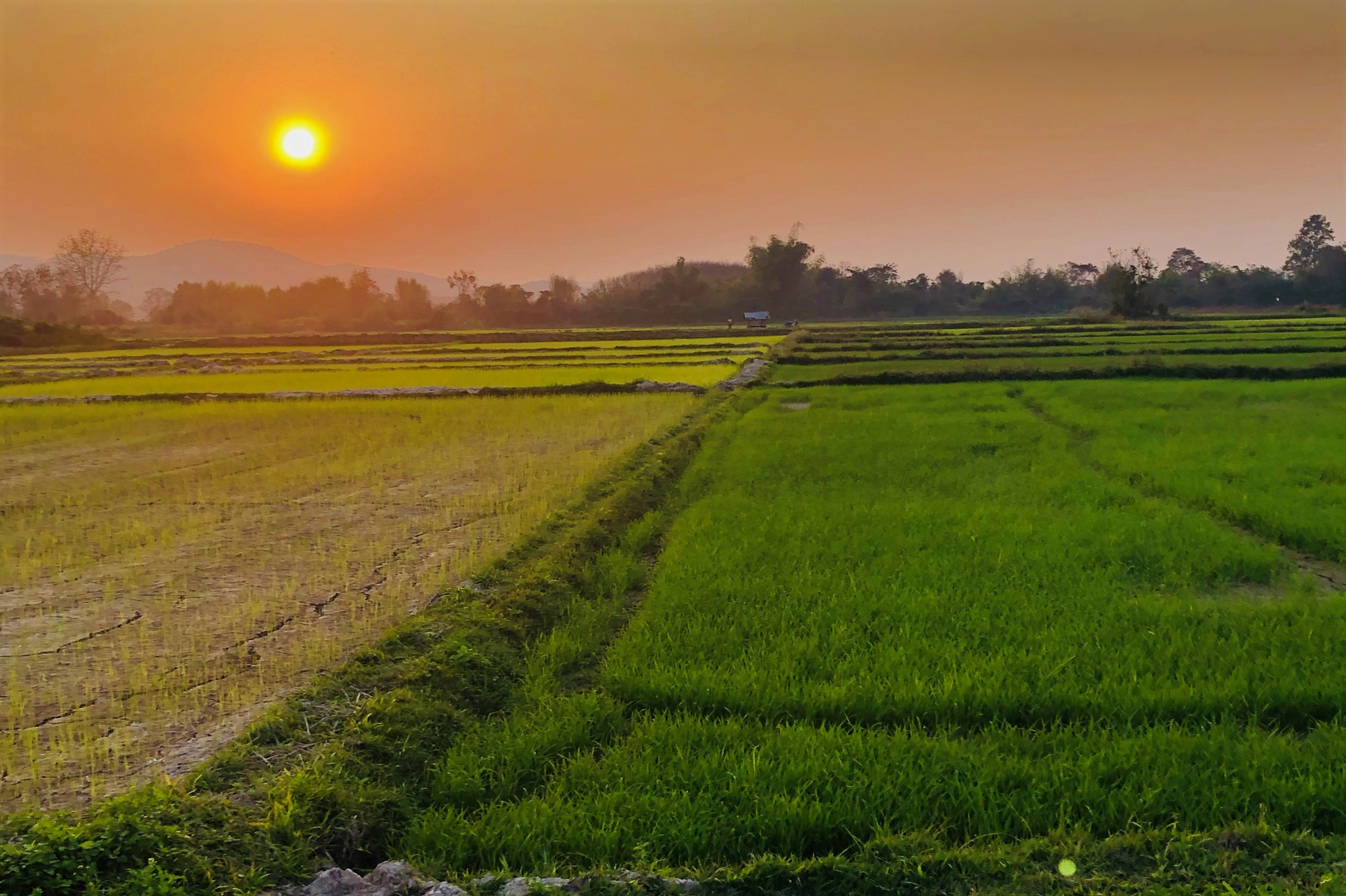 Photos from our North Thailand Cycling Holiday